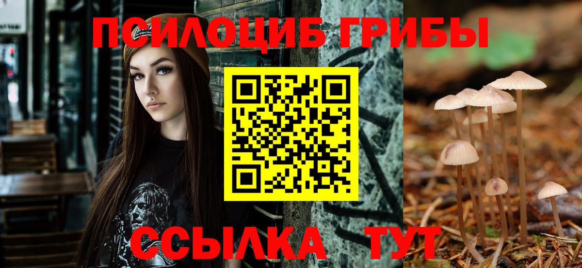Галлюциногенные грибы GOLDEN TEACHER  купить наркотики сайты  Торжок  Вход с VPN 