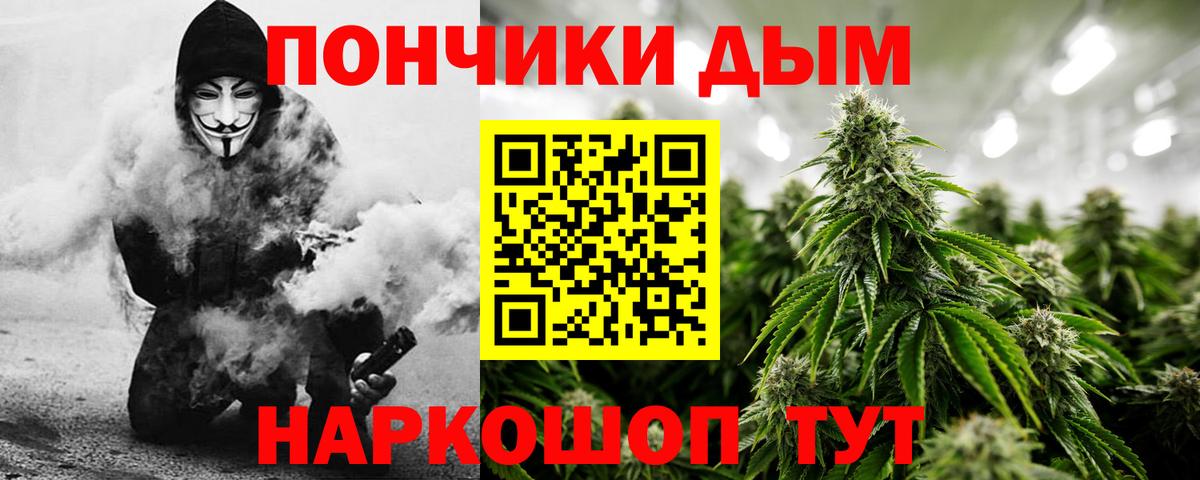Канабис OG Kush Торжок